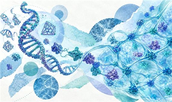 حرکت از مقیاس نانو به شبکه‌های هوشمند با هیدروژل‌های DNA–پروتئین