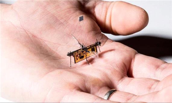 با پنج نمونه از کوچک‌ترین ربات‌های دنیا آشنا شوید