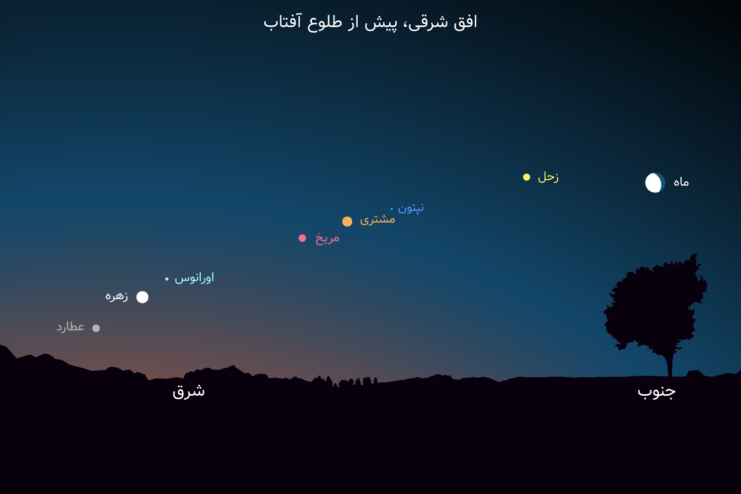 سیاست و بازاریابی