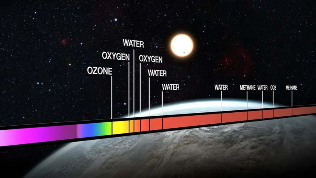 سیاست و بازاریابی