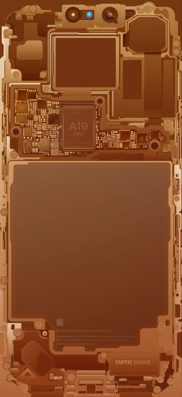 سیاست و بازاریابی