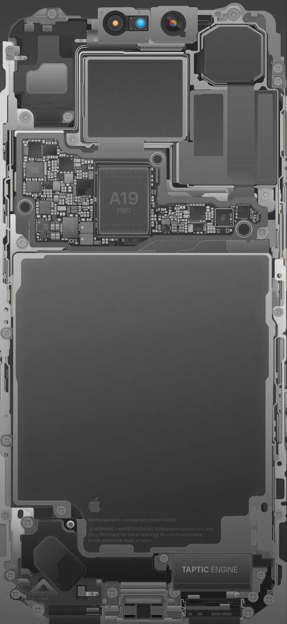 سیاست و بازاریابی