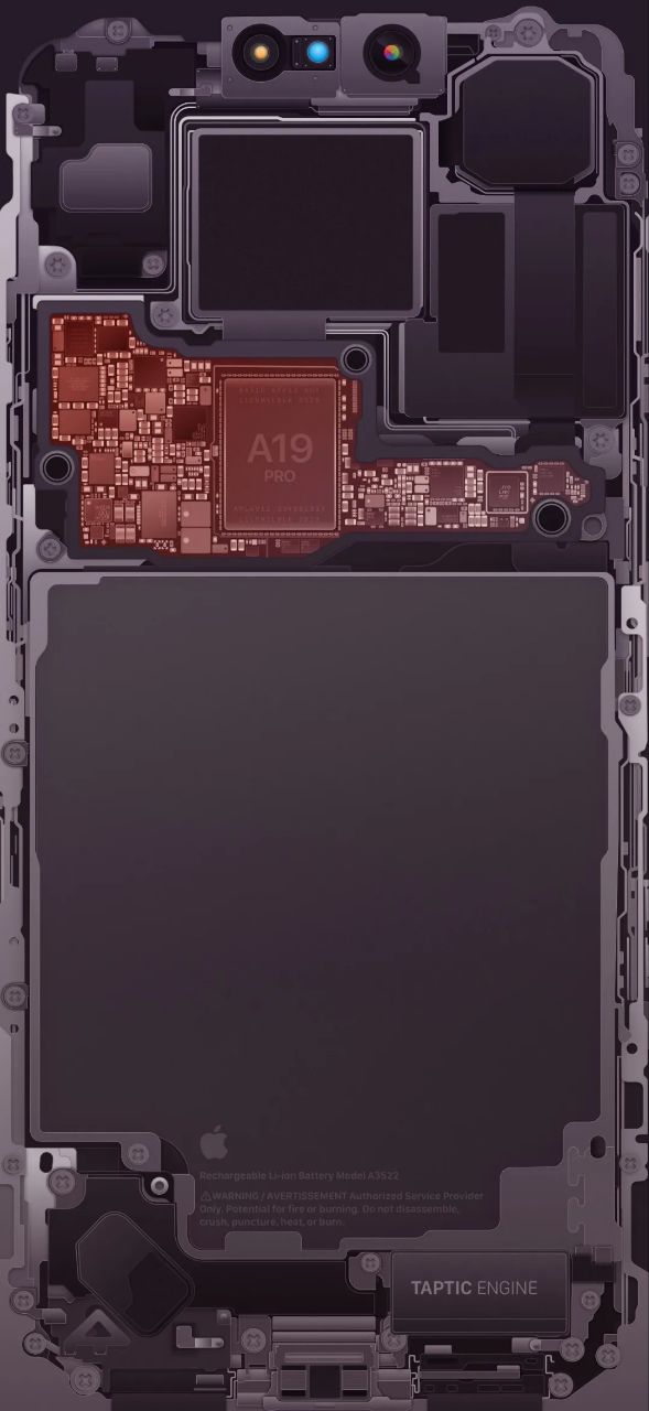 سیاست و بازاریابی