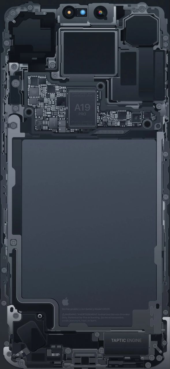 سیاست و بازاریابی