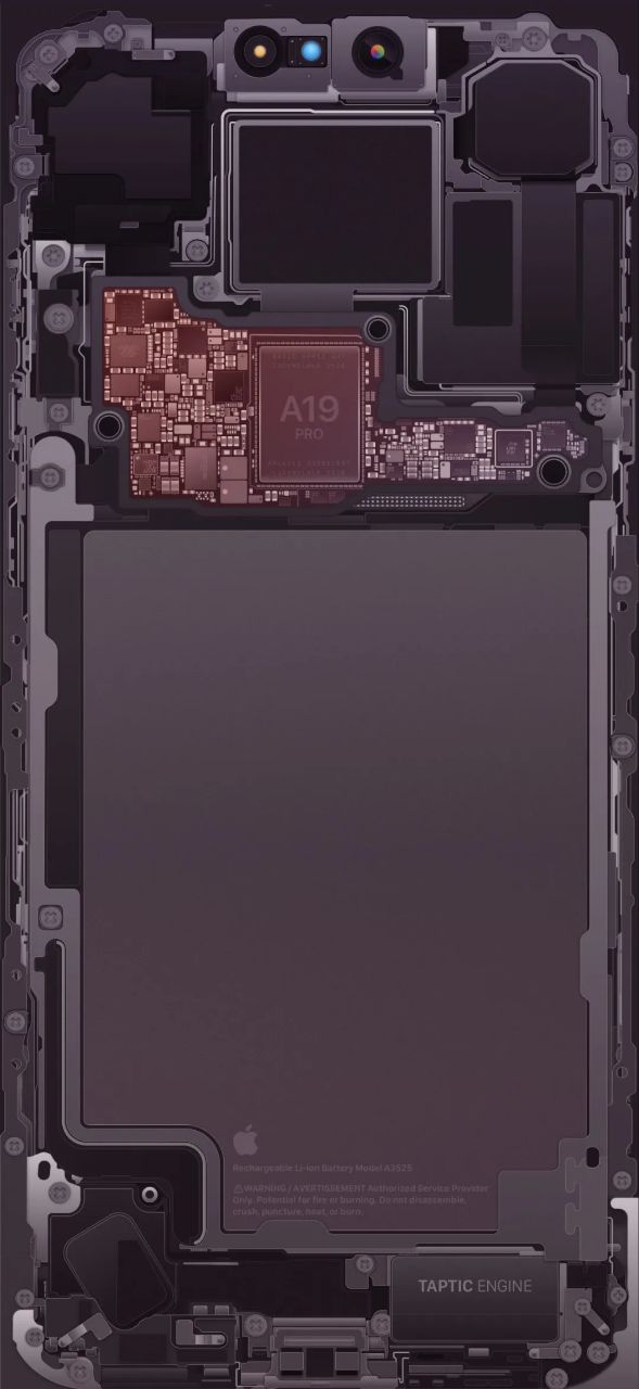 سیاست و بازاریابی