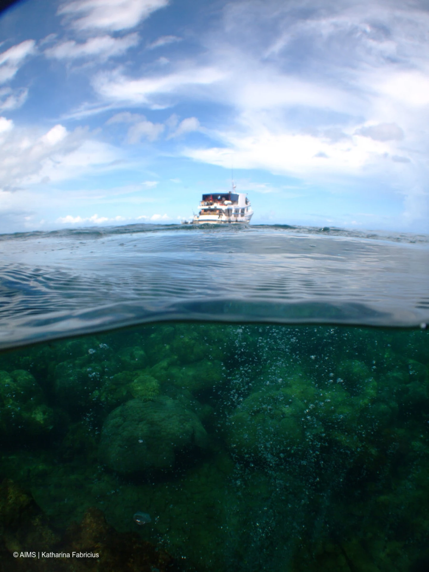 سیاست و بازاریابی