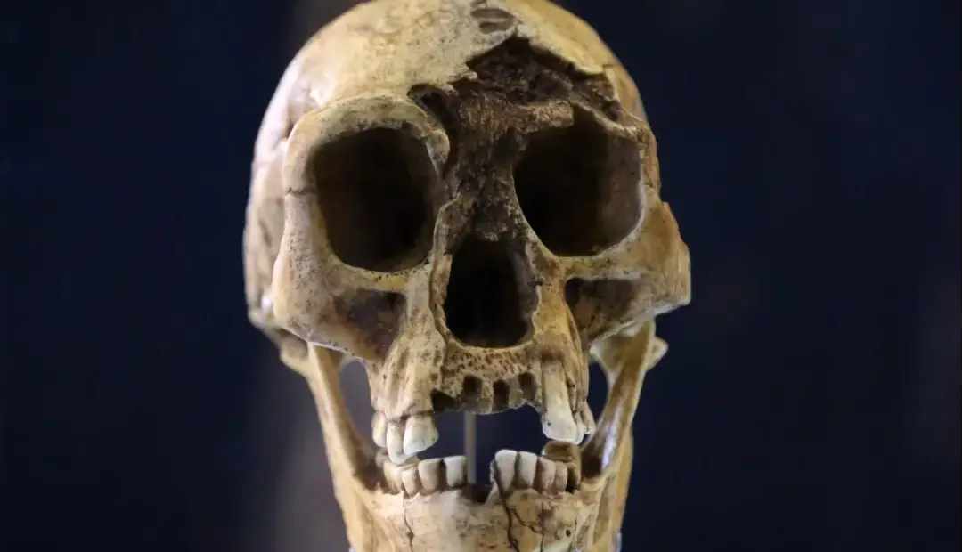 خشکسالی، گرسنگی و مواجهه با انسان خردمند، آخرین فصل زندگی هابیت‌ها را رقم زد