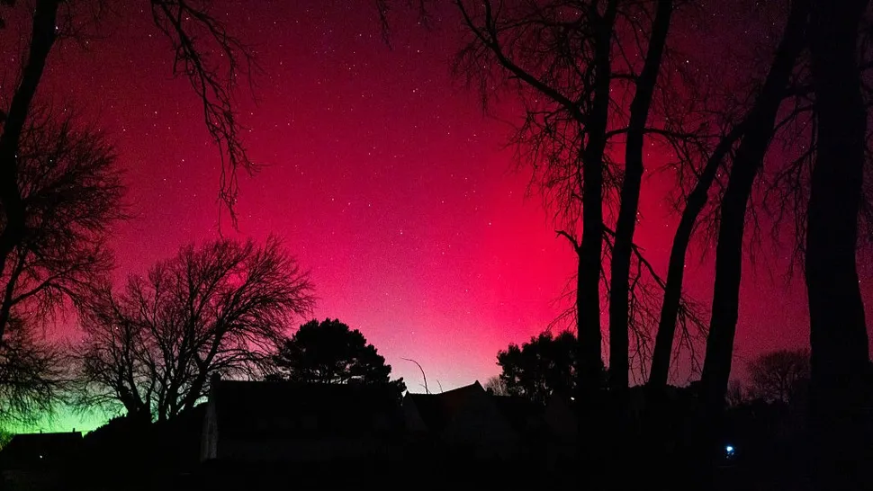 سیاست و بازاریابی