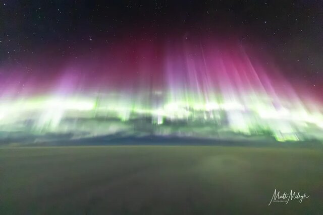 سیاست و بازاریابی