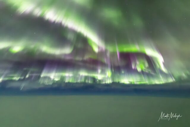 سیاست و بازاریابی