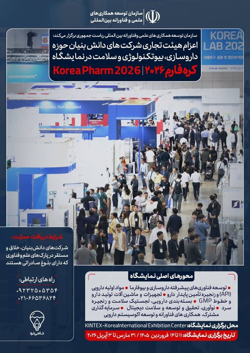 سیاست و بازاریابی