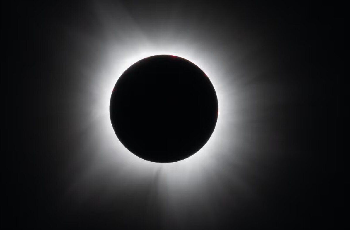 سیاست و بازاریابی