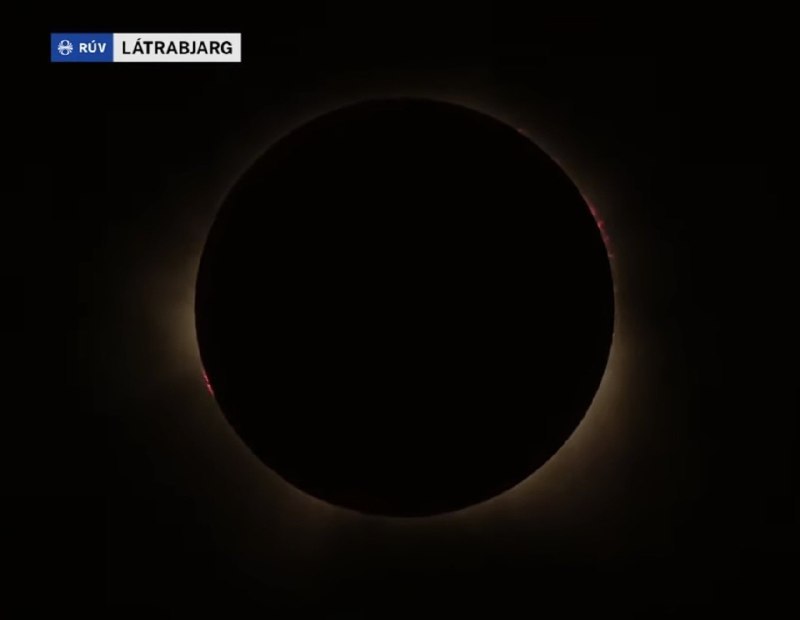 سیاست و بازاریابی