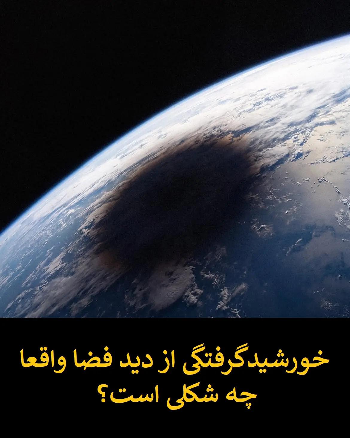 سیاست و بازاریابی