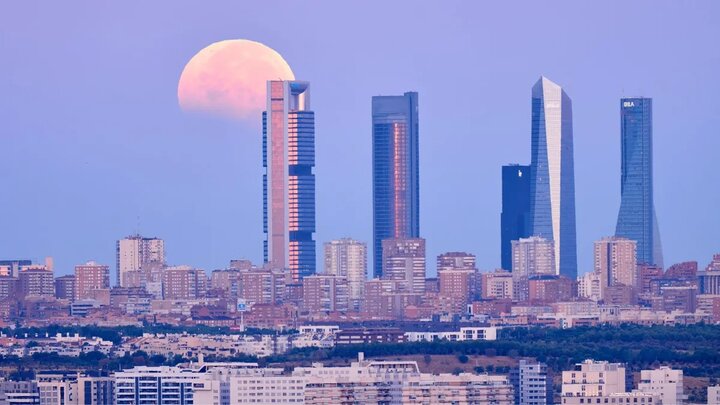 سیاست و بازاریابی